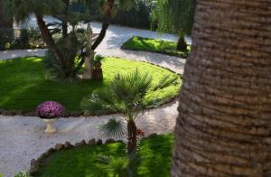 Ogród w obiekcie LH Hotel Excel Roma Montemario