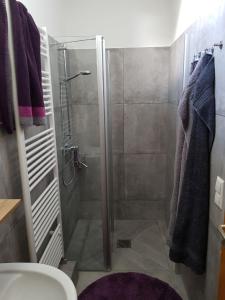 a bathroom with a shower and a toilet at Ferienhaus Brenzblick in Gundelfingen