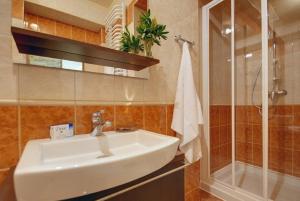 y baño con lavabo y ducha. en udanypobyt Apartament Myśliwski, en Kościelisko