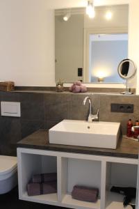 ein Badezimmer mit einem Waschbecken, einem WC und einem Spiegel in der Unterkunft Hotel Leegerpark in Greetsiel