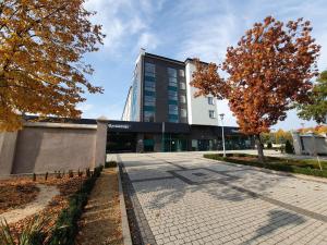 a building with a tree in front of it at Dom Pielgrzyma BETLEJEM in Licheń Stary