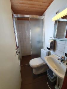 a bathroom with a toilet and a shower and a sink at Camping Hossan Lumo in Hossa