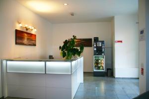 a kitchen with a counter with a potted plant at Residence Fanny in Rimini