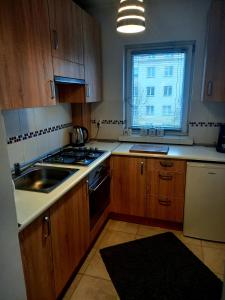 kuchnia z drewnianymi szafkami, umywalką i oknem w obiekcie Modern Studio 9 w mieście Częstochowa