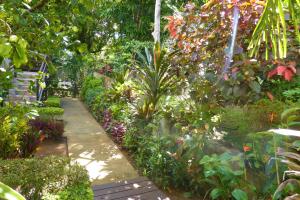 Сад в Marigot Palms Luxury Caribbean Apartment Suites