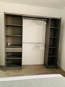 a closet with wooden shelves and a refrigerator at St Louis Appartement in Roanne