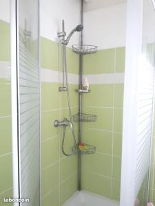 a shower in a bathroom with green tiles at Maison cosy Le Lamentin, jardin in Le Lamentin