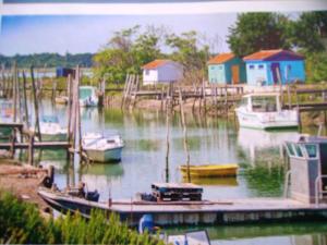 a group of boats are docked at a dock at Appartement charmant à Breuillet avec jardin spacieux in Breuillet