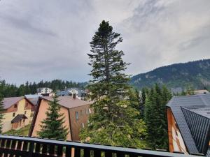 Gallery image of Jelka apartmani in Jahorina