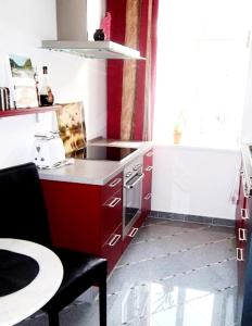 巴特尚道的住宿－One bedroom apartement with wifi at Bad Schandau，一个带红色橱柜和水槽的小厨房
