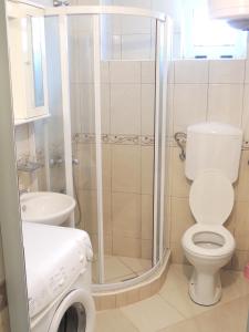 uma casa de banho com um chuveiro, um WC e um lavatório. em 2 bedrooms apartement with sea view enclosed garden and wifi at Ulcinj 1 km away from the beach em Ulcinj