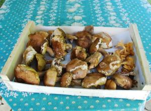 a box filled with mushrooms sitting on a table at Maison de charme avec piscine privée à Sainte-Alvère in Saint-Alvère
