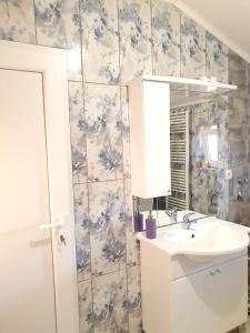 y baño con lavabo y espejo. en One bedroom appartement with furnished garden and wifi at Belisce, en Belišće