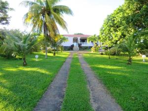 un camino de tierra frente a una casa con palmeras en Studio avec piscine privee jardin clos et wifi a Baie Mahault, en Baie-Mahault