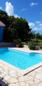 a large blue swimming pool in front of a house at Studio avec piscine privee jardin clos et wifi a Baie Mahault in Baie-Mahault