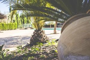 A garden outside Cosy house in Estepa with mountain view