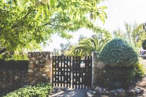 A garden outside Cosy house in Estepa with mountain view