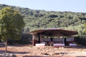 Táj Show holiday homes közelében