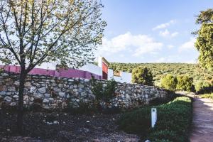 Táj Show holiday homes közelében
