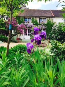 einen Garten mit lila Blumen vor einem Haus in der Unterkunft Maison de 2 chambres avec jardin clos et wifi a La Croix sur Ourcq in La Croix-sur-Ourcq