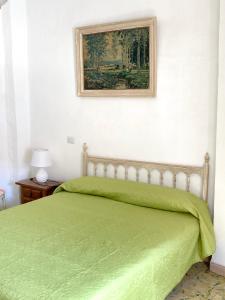 una camera con un letto verde con una foto sul muro di 4 bedrooms house with terrace and wifi at Albunol 7 km away from the beach ad Albuñol