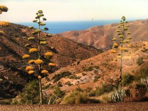 Gallery image of 4 bedrooms house with terrace and wifi at Albunol 7 km away from the beach in Albuñol