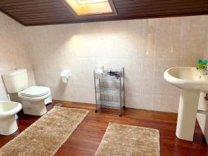 a bathroom with a toilet and a sink and a mirror at 9 bedrooms villa with private pool jacuzzi and enclosed garden at Ponte de Lima Viana do Castelo in Ponte de Lima