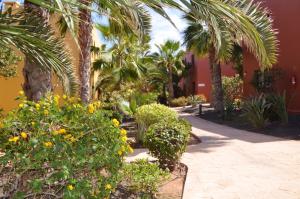 a garden with palm trees and flowers next to a building at Cosy apartment in Corralejo, shared pool, 55 m² in Corralejo