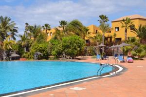 a swimming pool at a resort with palm trees at Cosy apartment in Corralejo, shared pool, 55 m² in Corralejo