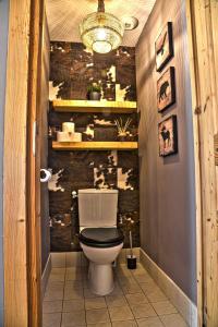 a bathroom with a toilet in a room at Appartement confortable à Les Deux Alpes 45 m² avec vue montagne in Mont-de-Lans +15 photos