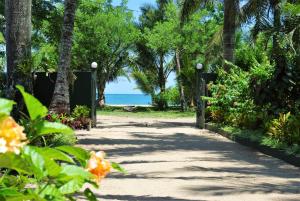 un chemin menant à la plage avec des palmiers dans l'établissement Studio with sea view enclosed garden and wifi at Foulpointe, à Foulpointe