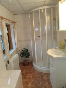 a bathroom with a shower and a sink at Ubytování Riegel in Svoboda nad Úpou