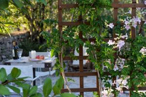 Fotografie z fotogalerie ubytování Milos Traditional Windmill v destinaci Mougkelátika