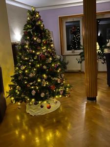 Φωτογραφία από το άλμπουμ του Hotel Sonnenhof στο Σίντελφινγκεν