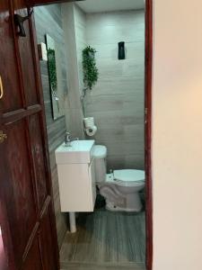 a bathroom with a toilet and a sink at Island Life Hostel in Santo Domingo