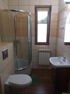 a bathroom with a shower and a toilet and a sink at Apartamenty u Ani in Kudowa-Zdrój +29 photos