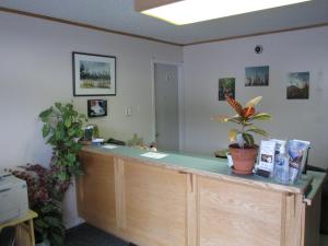 a room with a counter with a potted plant on it at Fireweed Motel in Smithers