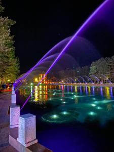 une fontaine avec des lumières violettes dans l'eau la nuit dans l'établissement Centar! Lara Zlatibor, à Zlatibor
