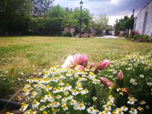 Zahrada ubytování Cortijo Los Soledad