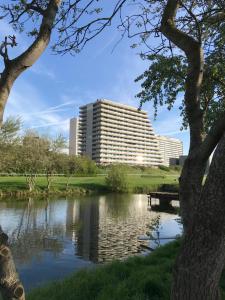 Výhled na řeku, která protéká v blízkosti apartmánu