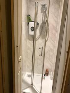 a shower with a glass door in a bathroom at Ponders End in Shide