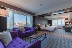Radisson Blu Hotel Amsterdam Airport, Schiphol的休息区