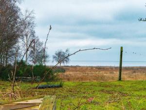 um galho de árvore com um pássaro sobre ele em um campo em 7 person holiday home in rsted em Kare