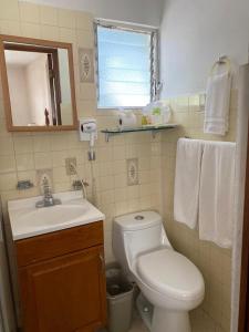 La salle de bains est pourvue de toilettes, d'un lavabo et d'un miroir. dans l'établissement Hotel Posada Quinta Las Flores, à Cuernavaca