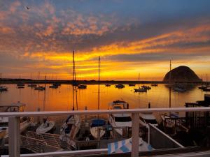 a group of boats docked in a harbor at sunset at Gray's Inn & Gallery in Morro Bay