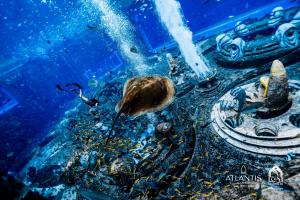 Fotografie z fotogalerie ubytování Atlantis Sanya v destinaci San-ja