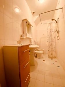 La salle de bains est pourvue d'un lavabo, de toilettes et d'une douche. dans l'établissement Residence Le Terrazze, à Carpegna