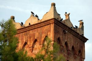 a group of birds sitting on top of a building at Masseria Incantalupi in San Vito dei Normanni +31 photos