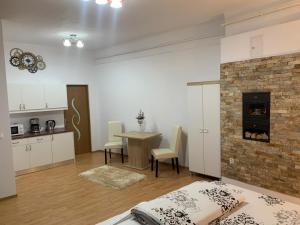 a room with a kitchen and a living room with a fireplace at Vik. Apartment in Sighişoara