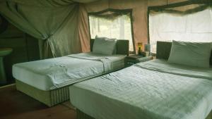 1 dormitorio con 2 camas y ventana en vKirirom Pine Resort, en Chambok